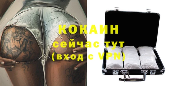 мдпв Богданович