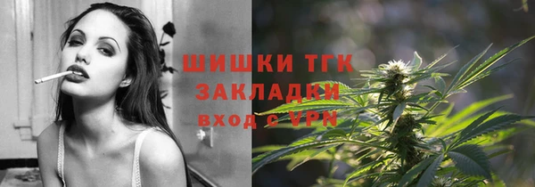 спиды Бородино
