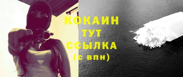 соль ск Богородицк