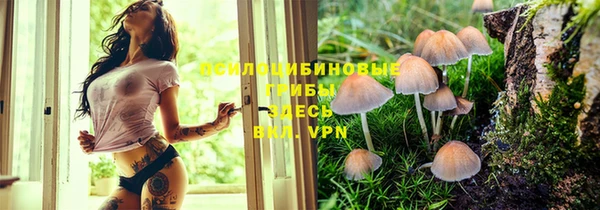 дурь Бугульма