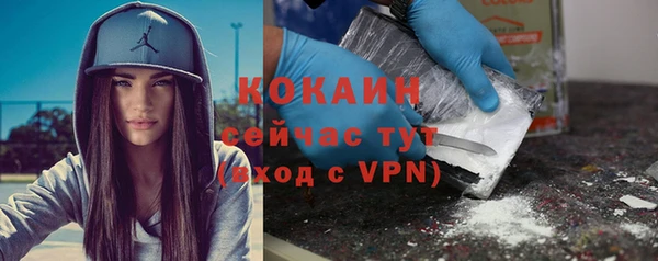 мдпв Богданович