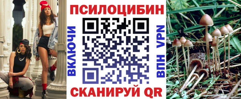 Галлюциногенные грибы Psilocybine cubensis  Северо-Курильск 